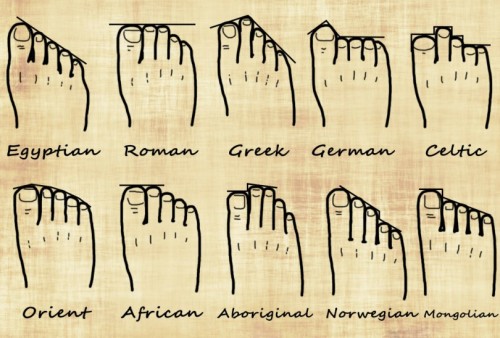 Your Foot Shape and Your Genealogy chart