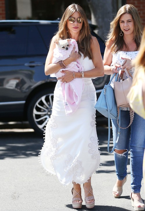 Mandatory Credit: Photo by Broadimage/REX (10376596h)Sofia Vergara takes her dog Baguette to the vet