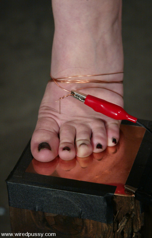 Gia Paloma Feet 1108641