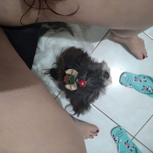 FB IMG 1604973131541