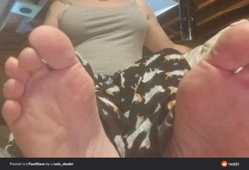 87f7327