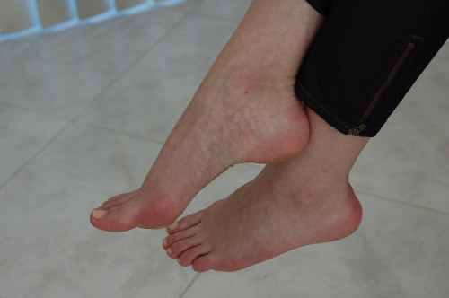 dsc 1449