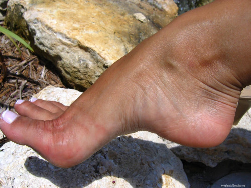 img 0006