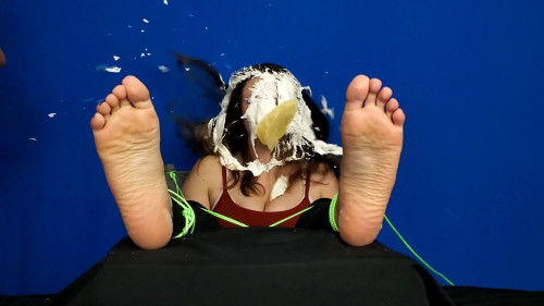 tied tickled pied lilly 3