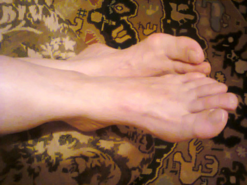 foto0202
