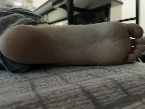 IMG 7636